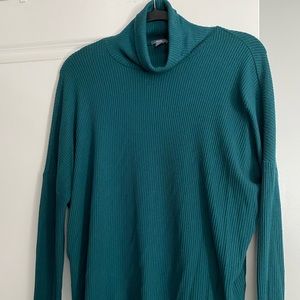 Turquoise Green Turtleneck